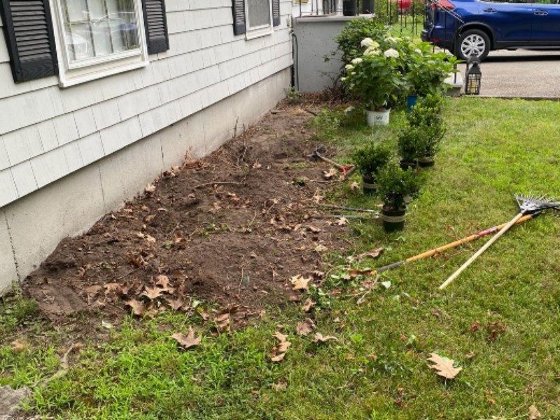 Fresh planting & red mulch installation — before