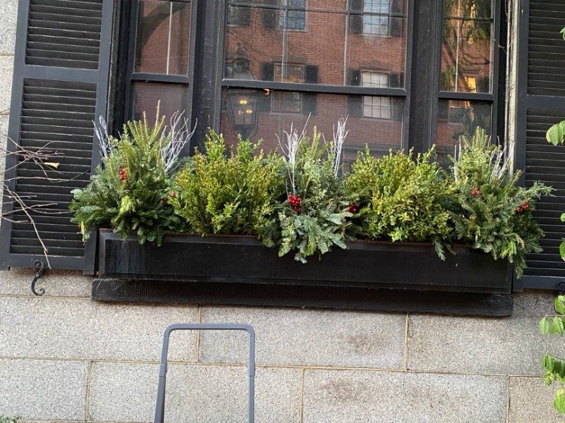 Why Fall Leaf Cleanups Are Critical For Your Property's Health