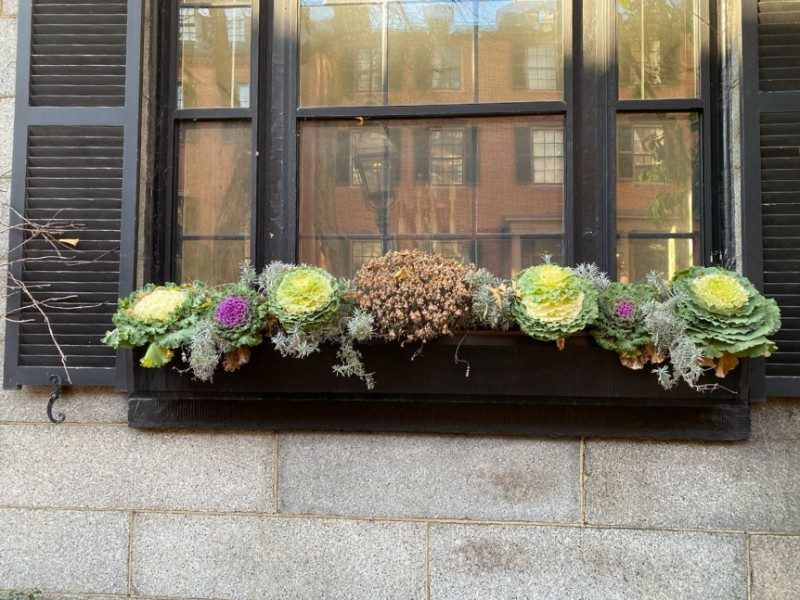 Seasonal window box floral arrangement — before