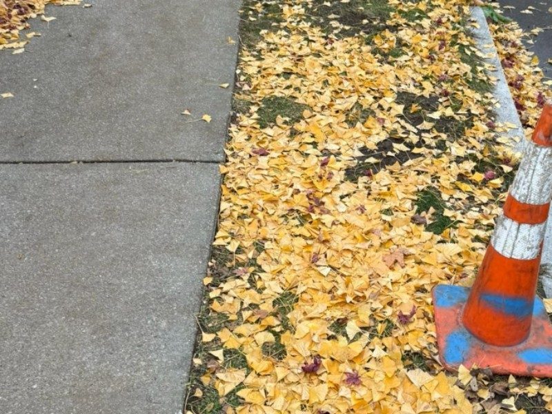 Precision concrete edging & debris sweep — before