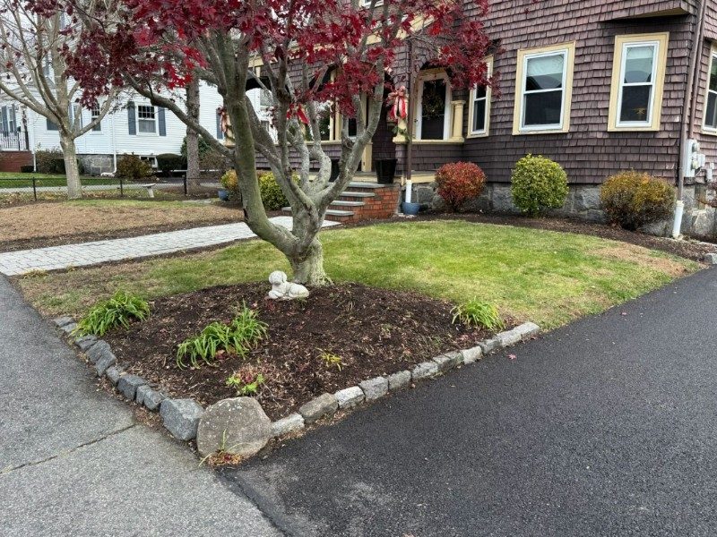 Fall Cleanup · South Braintree