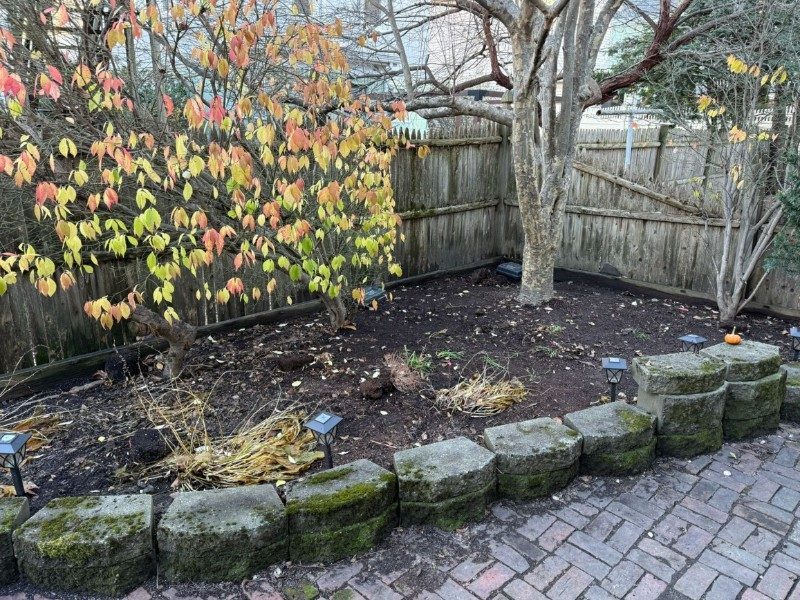 Weed removal & stone wall garden restoration — after