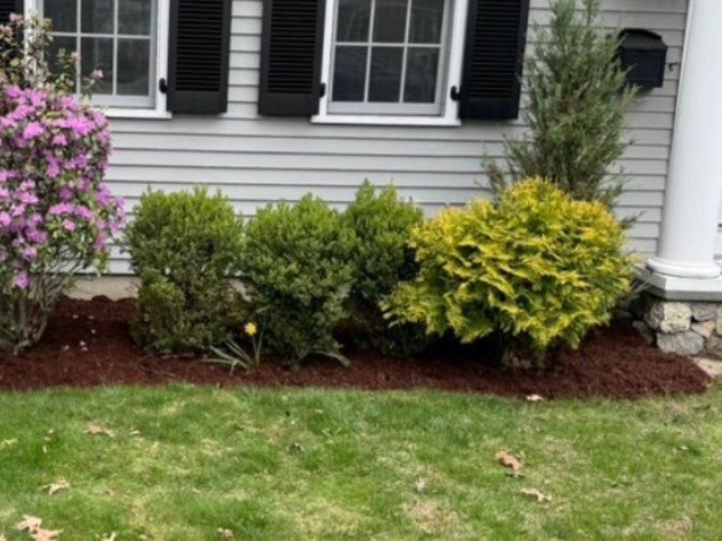 Spring Garden Refresh · Wellesley