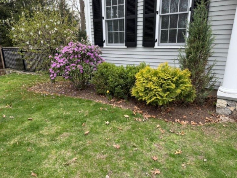 Spring garden refresh & dark mulch edging — before
